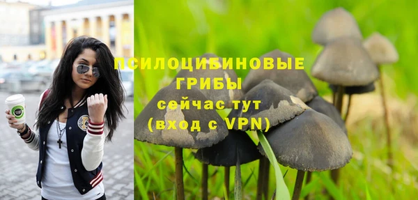 дмт Армянск