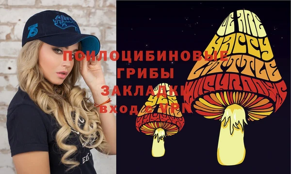 винт Арсеньев