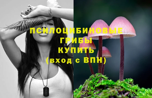 PSILOCYBIN Осташков
