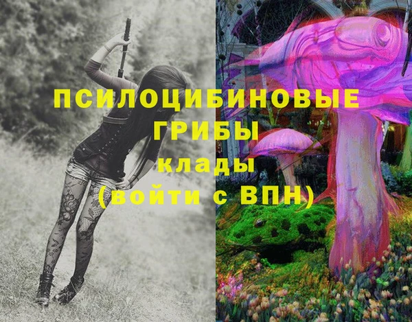 винт Арсеньев