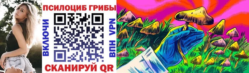 Псилоцибиновые грибы MAGIC MUSHROOMS цены наркотик Онега